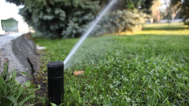 Automatic watering of lawn and bushes