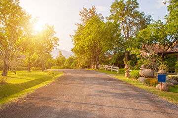 Beautiful garden with tree growing up between the road and walkway and sunlight at morning in park