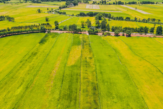 Aerial View landscape environment agricultural area in countryside © theevening