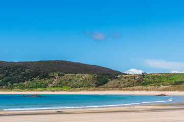 Fototapeta na wymiar A deserted beach in New Zealand