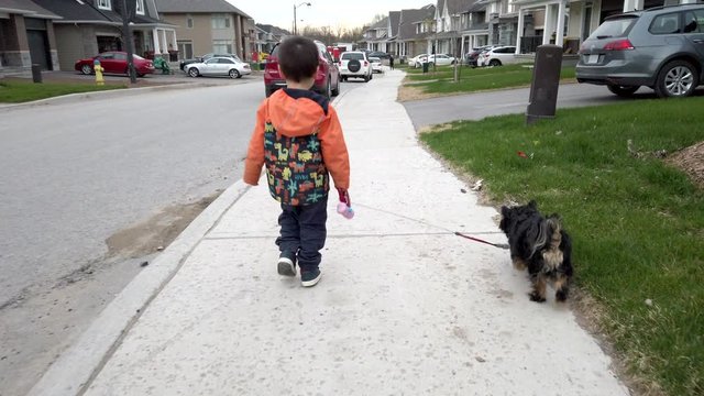 Young boy casually walks his small dog along sidewalk  - autumn fall season