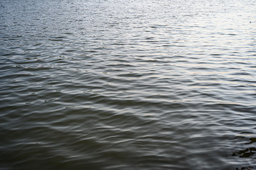 Circle water ripple with the nature reflections.