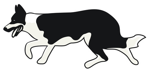 Realistic dog design vector
