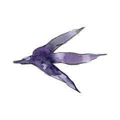 Cock footprint farm bird isolated. Watercolor background illustration set. Isolated chicken illustration element.