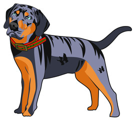Dog cartoon character standing design vector eps format