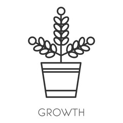 Money growth isolated icon, income or profit increase