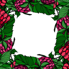 Vector Raspberry healthy food fresh berry isolated. Black and white engraved ink art. Frame border ornament square.