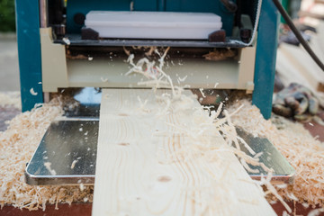 planing boards on a thicknesser. wood shavings. machine for planing wood. carpentry work. joiner's...