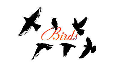 A flock of flying birds. Vector illustration