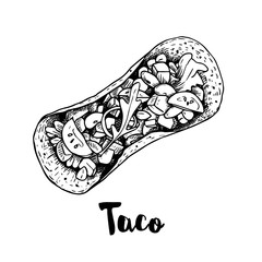 Taco top view. Sketch style hand drawn illustration of traditional mexican fast food. Best for restaurant menu and packaging design. Vector drawing isolated on white.