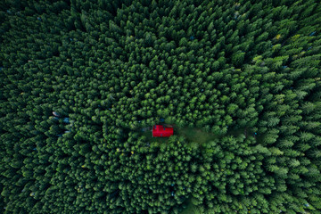 Fairy-tale little house in the woods taken from a drone.