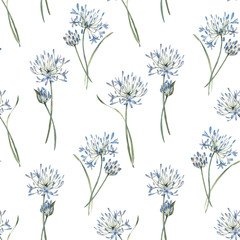 Watercolor allium floral seamless pattern - obrazy, fototapety, plakaty