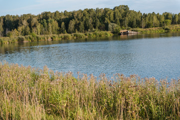 small lake in the forest. lake in Russia. Lake Shore. to fish on the lake. beautiful landscape. admire the lake.