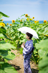 海沿いのヒマワリ畑に立つ絞り染めの浴衣を着たシニア女性