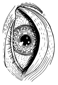 The image of the eye made in the technique of hatching. Vintage.