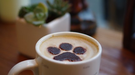 cat paw coffee latte art cappuccino in white mug on wood table