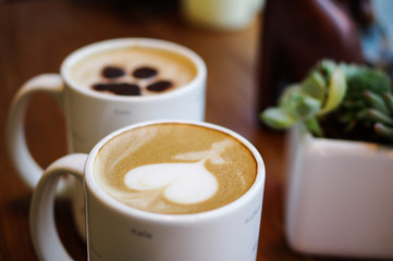 Heart shape and cat paw pattern latte art coffee in white mugs on wood table with succulent plant decoration