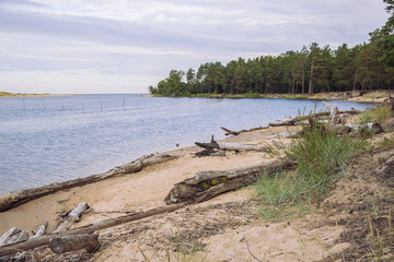 Fototapeta na wymiar City Carnikava, Latvian Republic. Green nature in summer with River Gauja and waves. Travel photo. Sep 04. 2019.