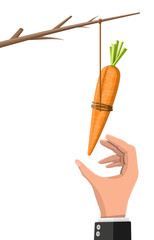 Carrot on a stick in hand. Motivation, stimulus, incentive and reaching goal concept metaphor. Fishing wooden stick with hanging carrot