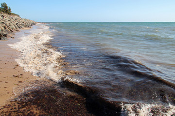 atlantic littoral on noirmoutier island (vendee - france) 