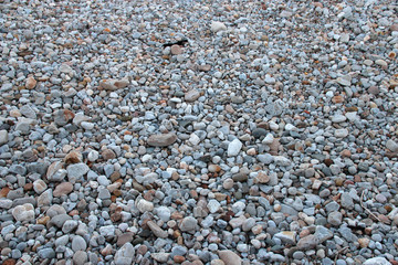 on a beach in morgat (brittany - france)