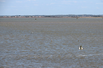 gois road on noirmoutier island (vendee - france) 