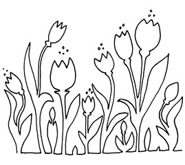 Tulips. Seamless horizontal pattern. Isolated on background. Contour, silhouette, line
