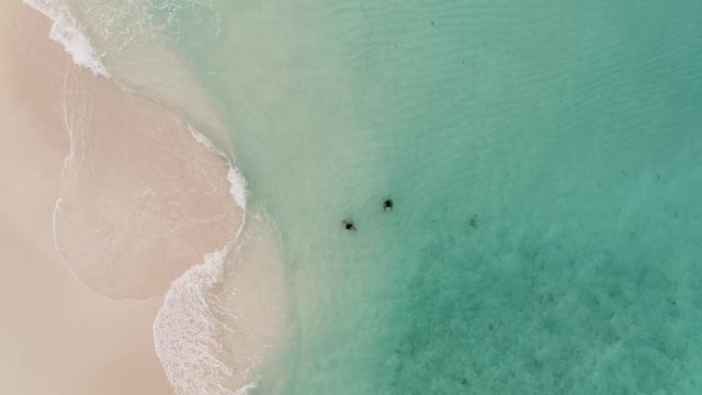 4K Aerial Footage of 2 girls swimming in tropical ocean water Shot in Siargao guyam Philippines