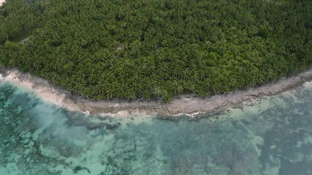 4K Aerial Drone footage of Tropical jungle coast line with hundreds of palm trees, white beaches and ocean water Guyam Siargao Philippines
