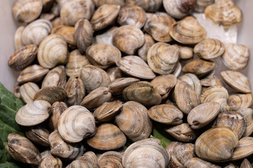 many whole raw clams on the market