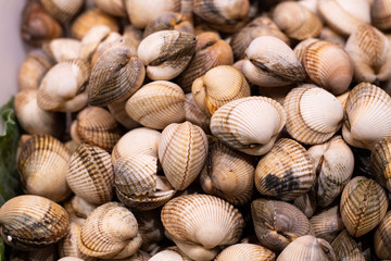 many whole raw clams on the market
