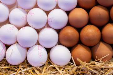 a lot of eggs in the marquet