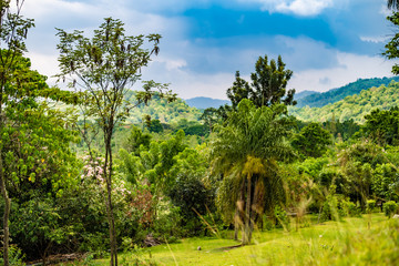 Green mountain landscape Thailand. Green mountain landscape in Thailand.