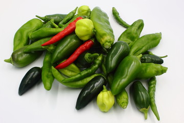 Chilli Peppers