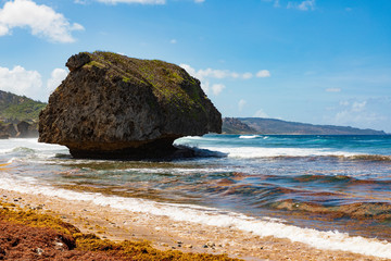 Obraz premium Bathsheba beach, Felsen an der Ostküste von Barbados, eine tropische Insel in der Karibik.