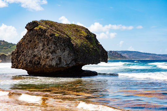 Felsen am Strand von Bathsheba beach und blauer Himmel. An der Ostk&uuml;ste der Insel Barbados.