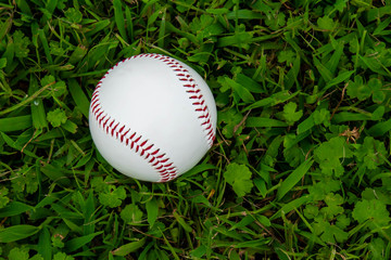 野球場と硬式ボール