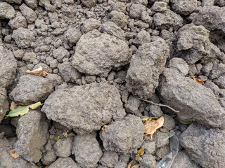 Lumps of Earth are great in the street