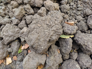 Lumps of Earth are great in the street