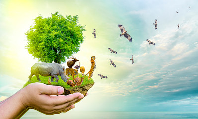 Wildlife Conservation Day Wild animals to the home. Or wildlife protection