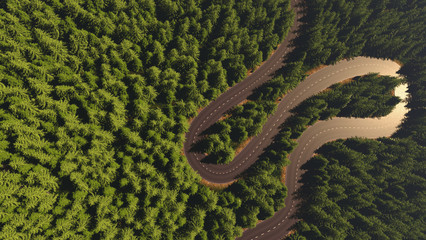 road among the forest, top view, comparison of the river arteries 3d render