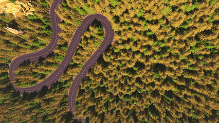 road among the forest, top view, comparison of the river arteries 3d render