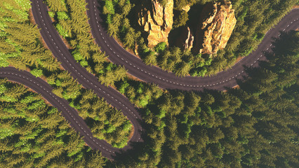 road among the forest, top view, comparison of the river arteries 3d render