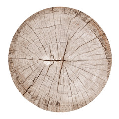 Cross section of tree trunk isolated on white background. wood texture with clipping path