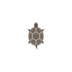 Turtle logo template vector icon design