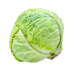 cabbagehead of green savoy cabbage cutout on white