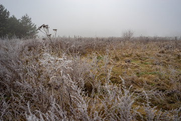 Mróz polana zimą © SebbPL