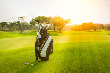 The Golf club bag and golf balls on green grass for golfer training with golf course...