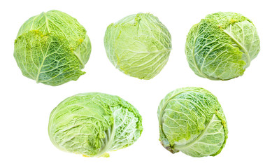 various fresh savoy cabbages cut out on white