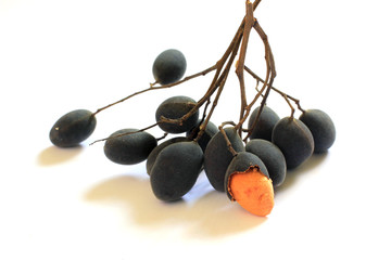 Dialium cochinchinense On a white background.